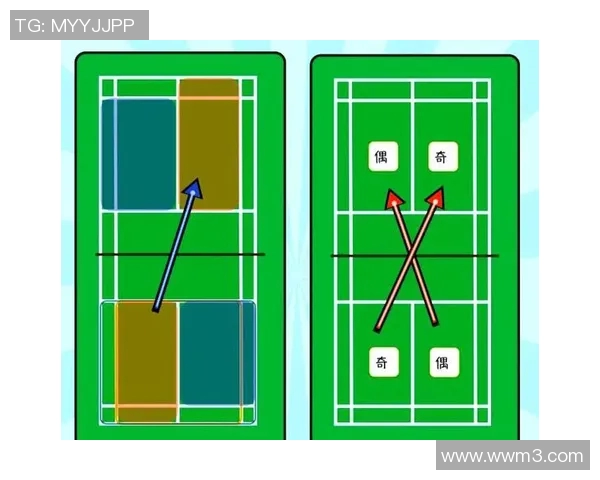 羽毛球新手指南：从零基础到高手的全面提升策略与技巧分享