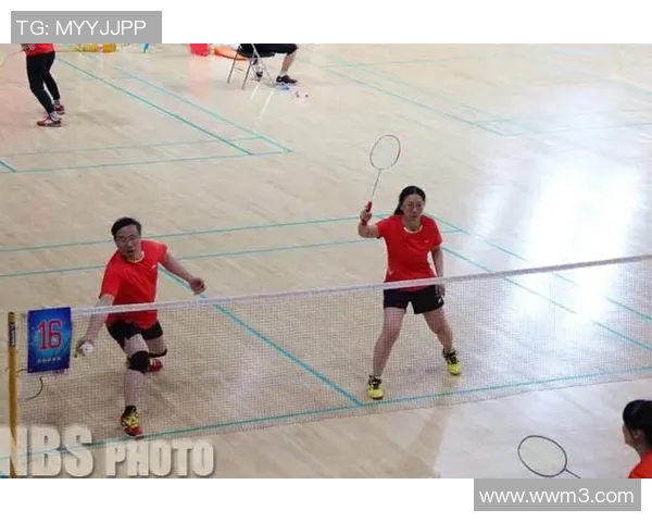 赛后分析：上海羽毛球队与北京羽毛球队速度对比及战术探讨