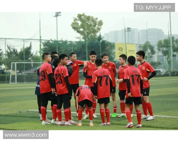 足球明星专访全记录精彩瞬间尽在视频合集带你领略球场背后的故事